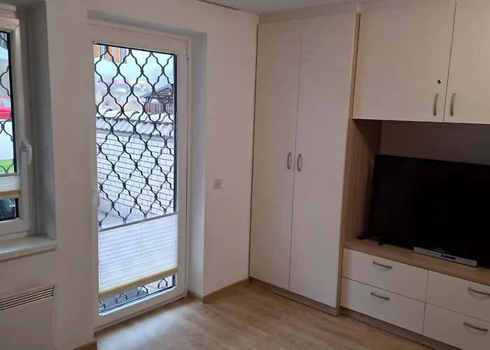 Planika J2 بوينج