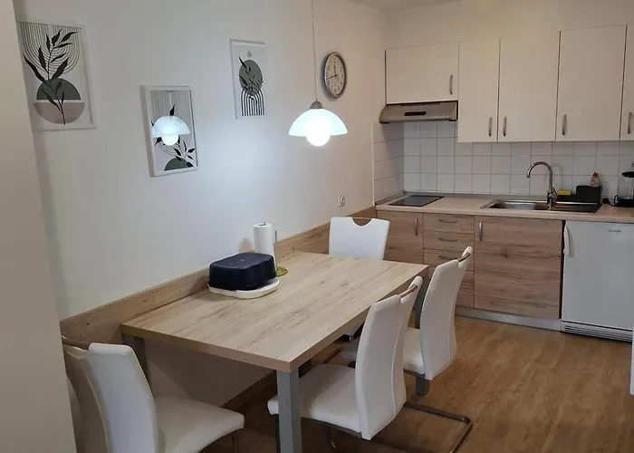 Planika J2 بوينج